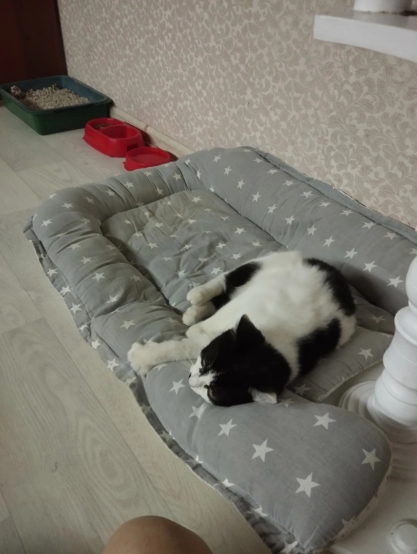 од434