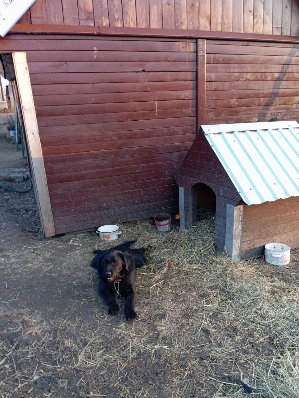 од444