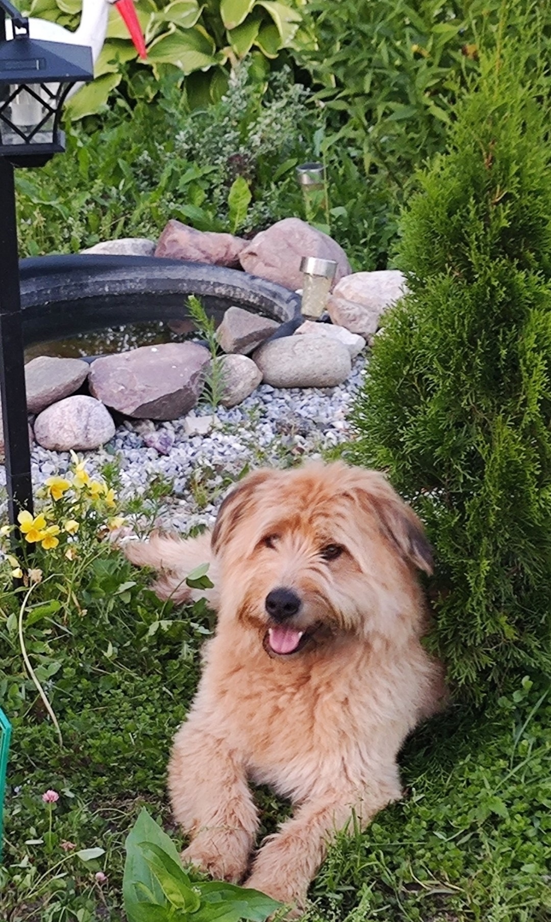 од456