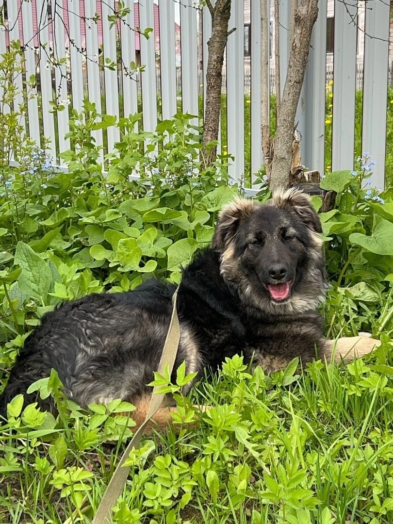 од480