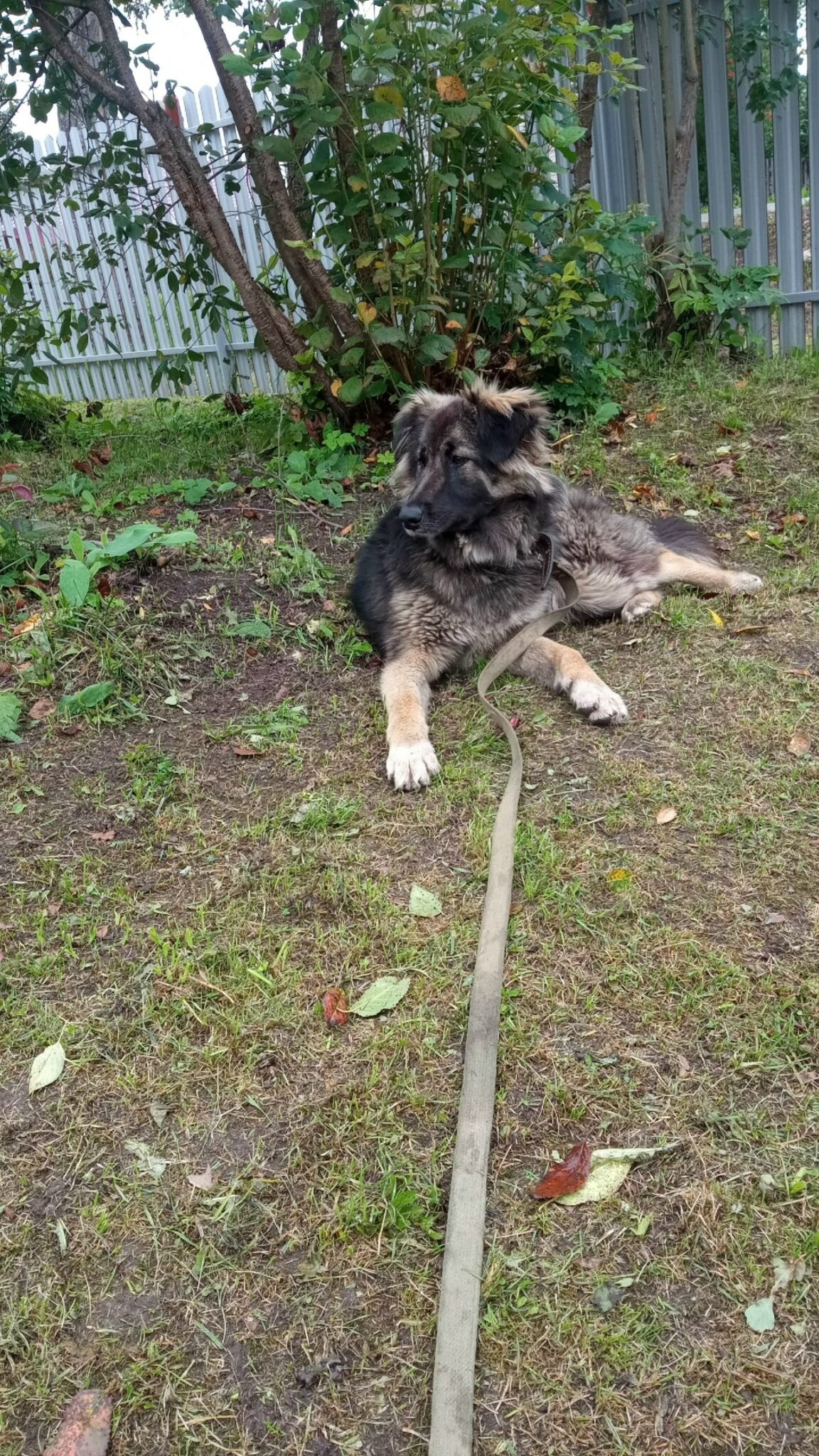 од481