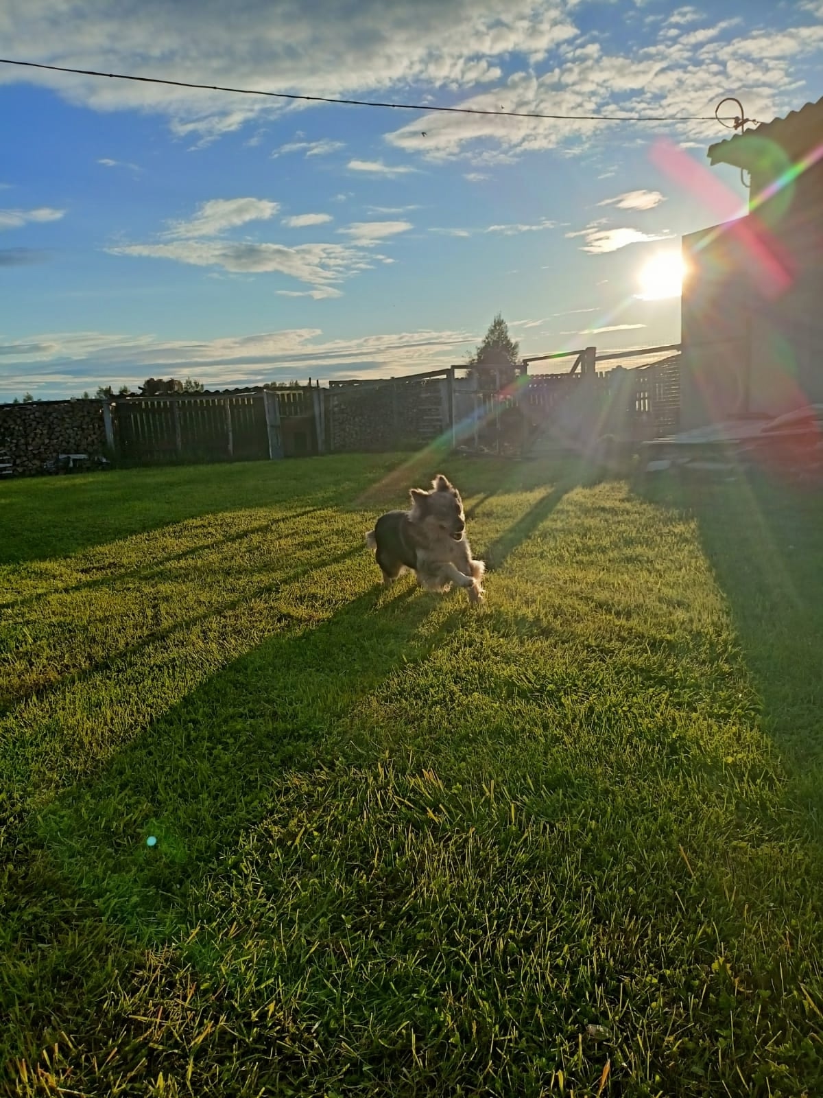од489
