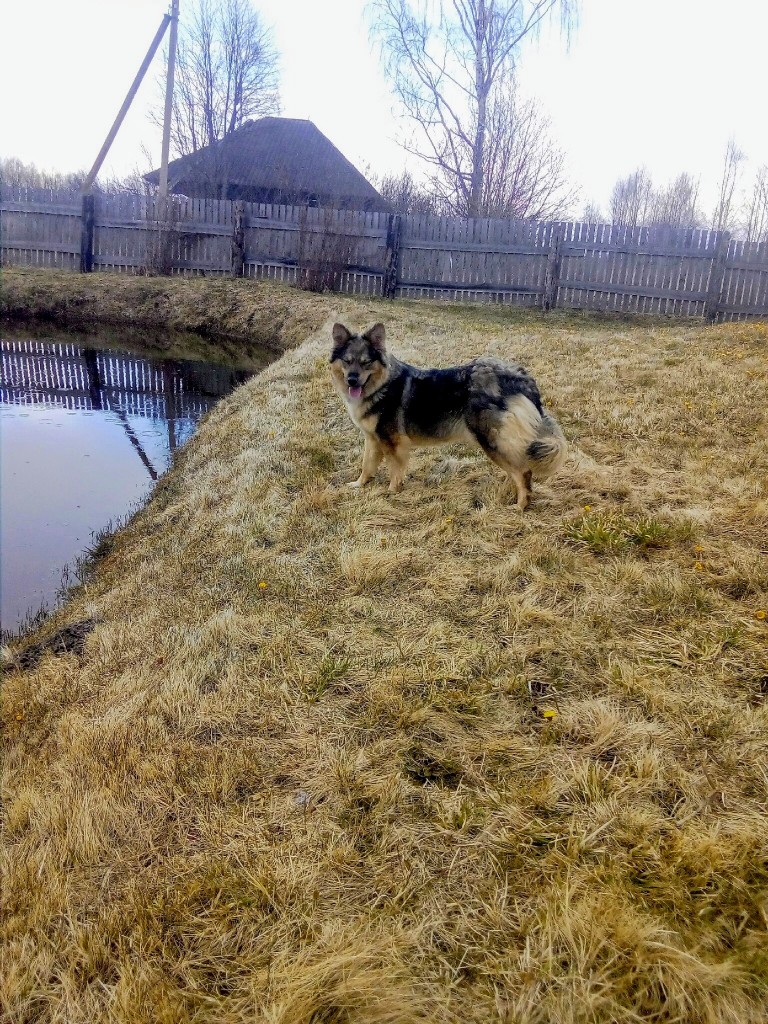 од492
