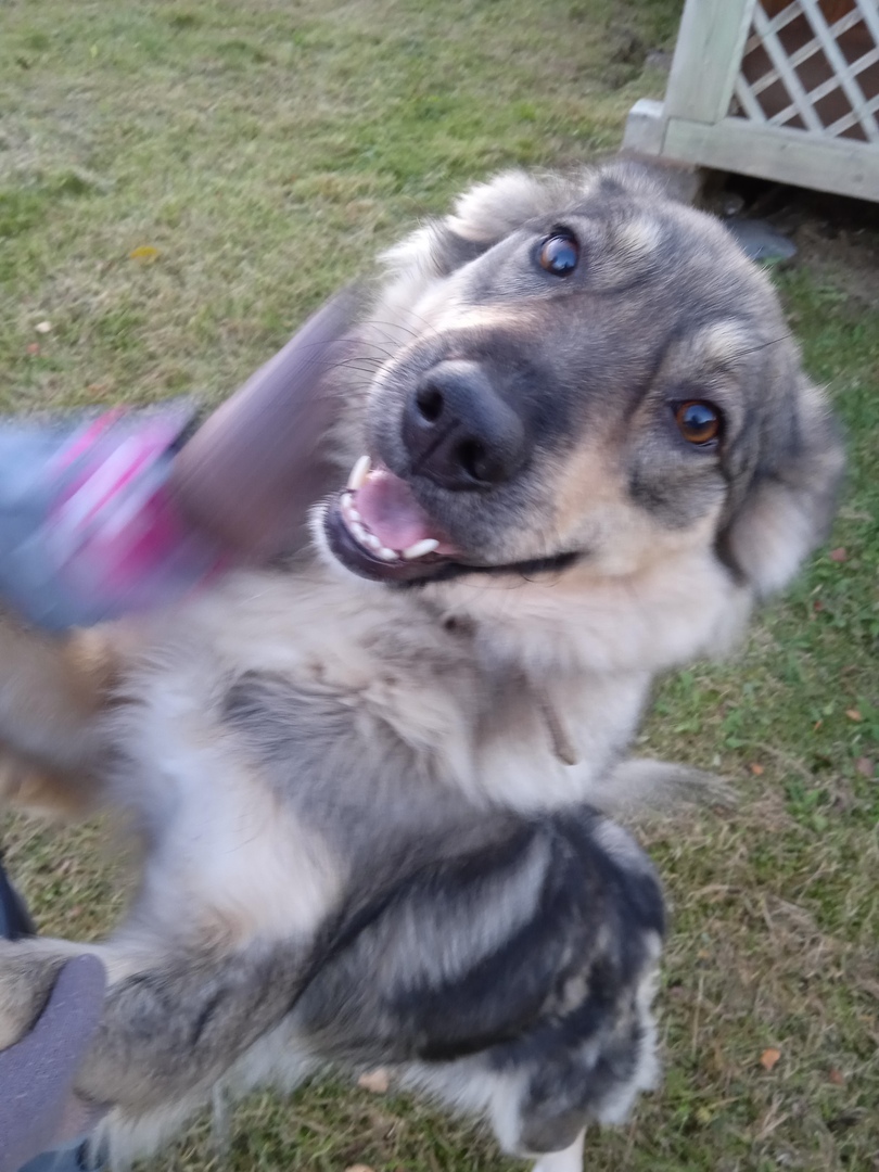 од496