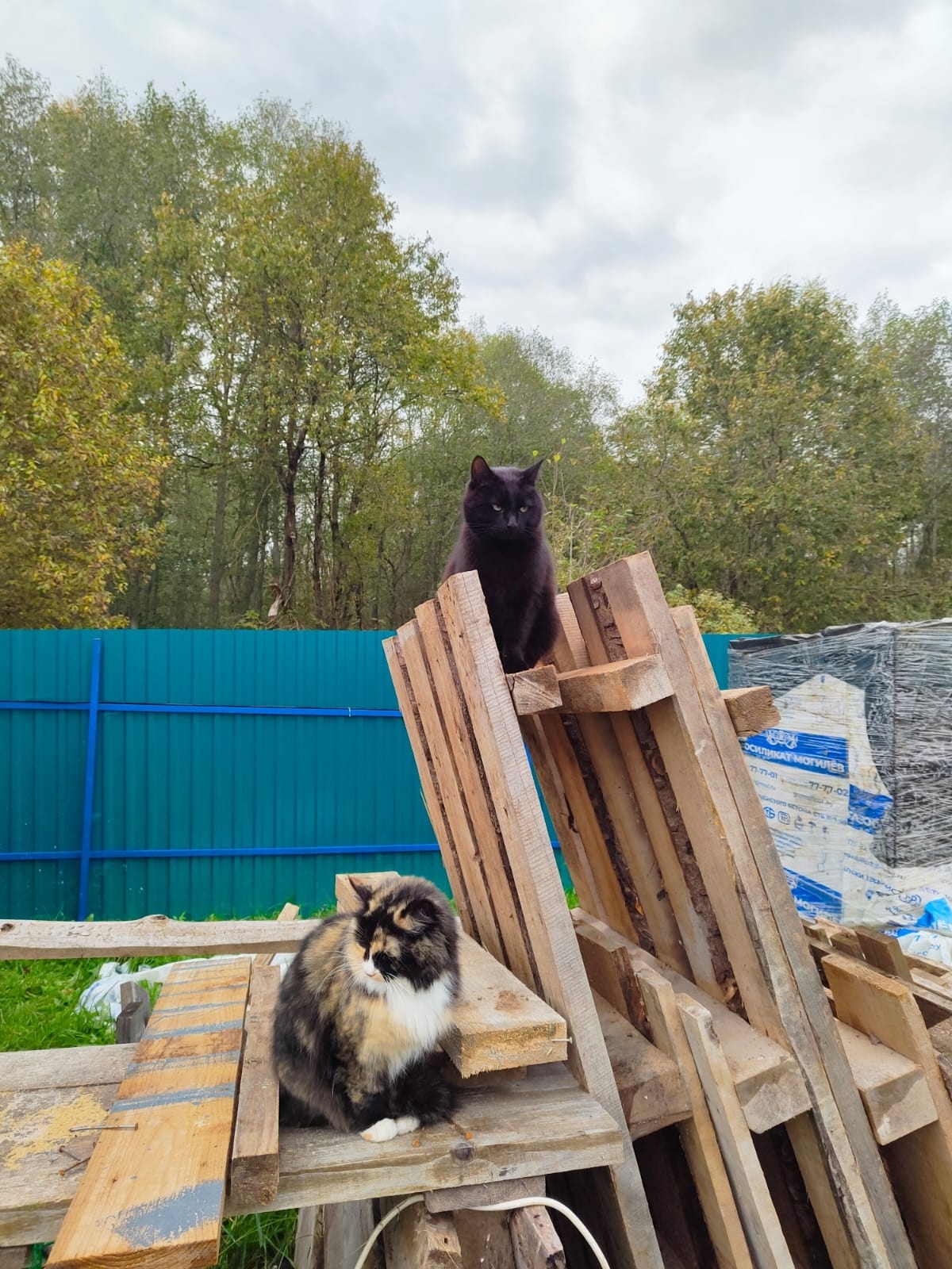 од505