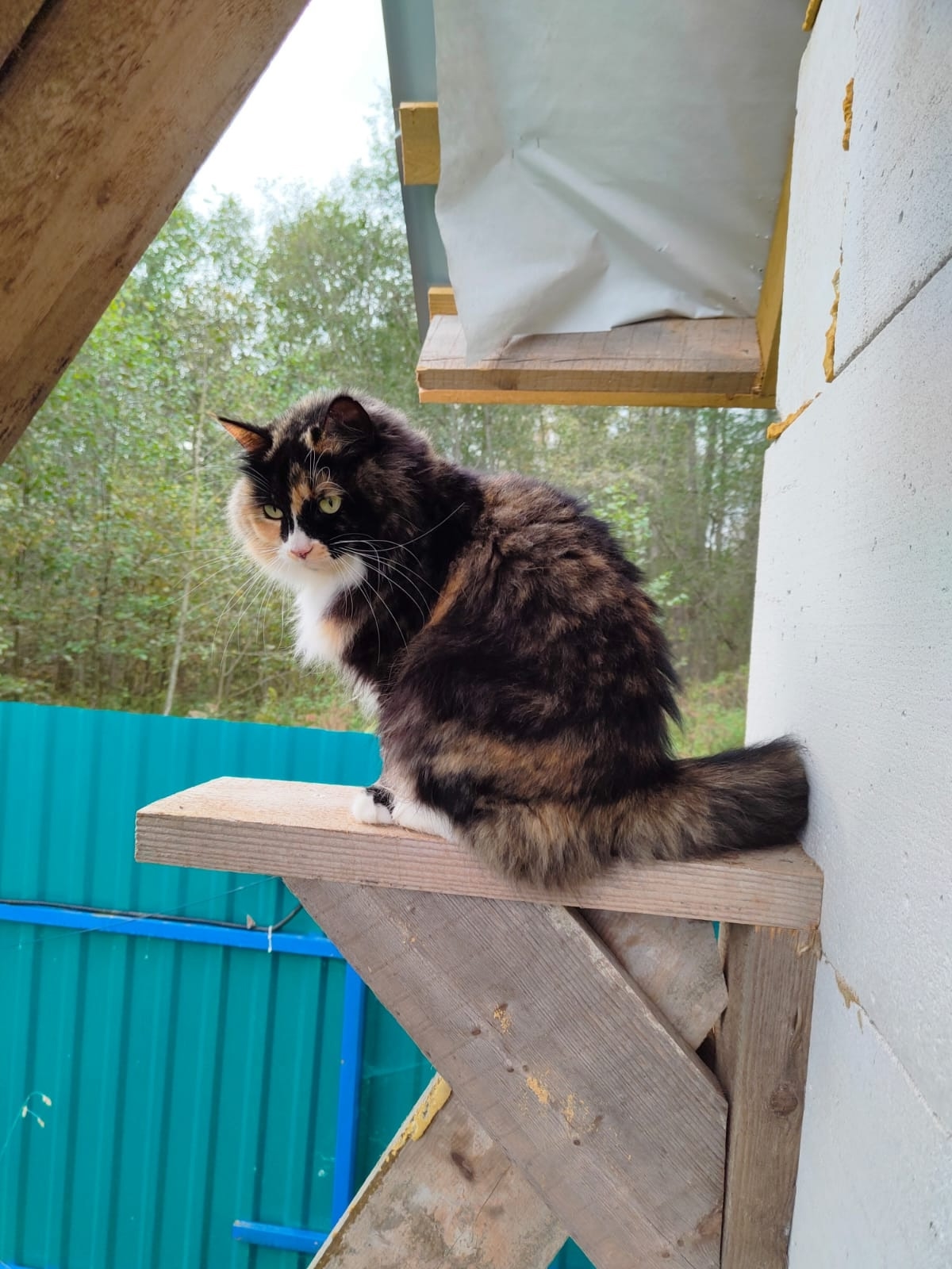 од506
