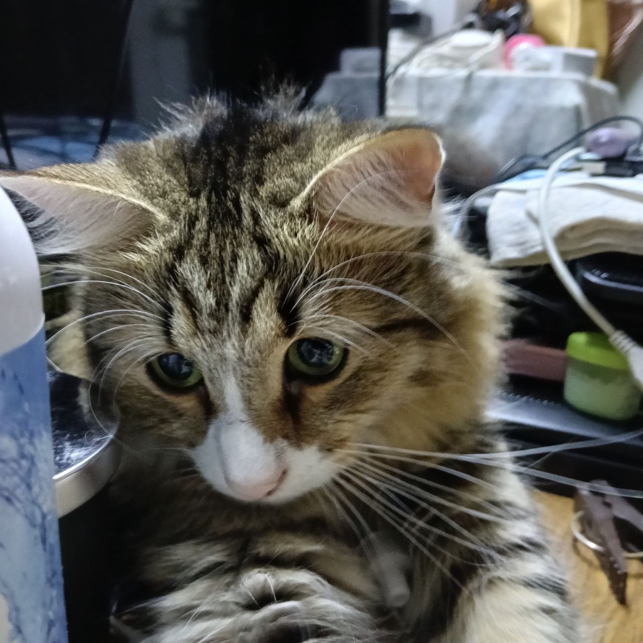 од511