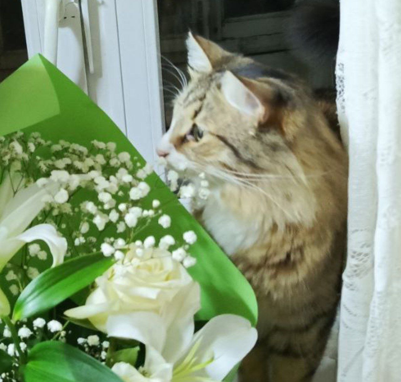 од513