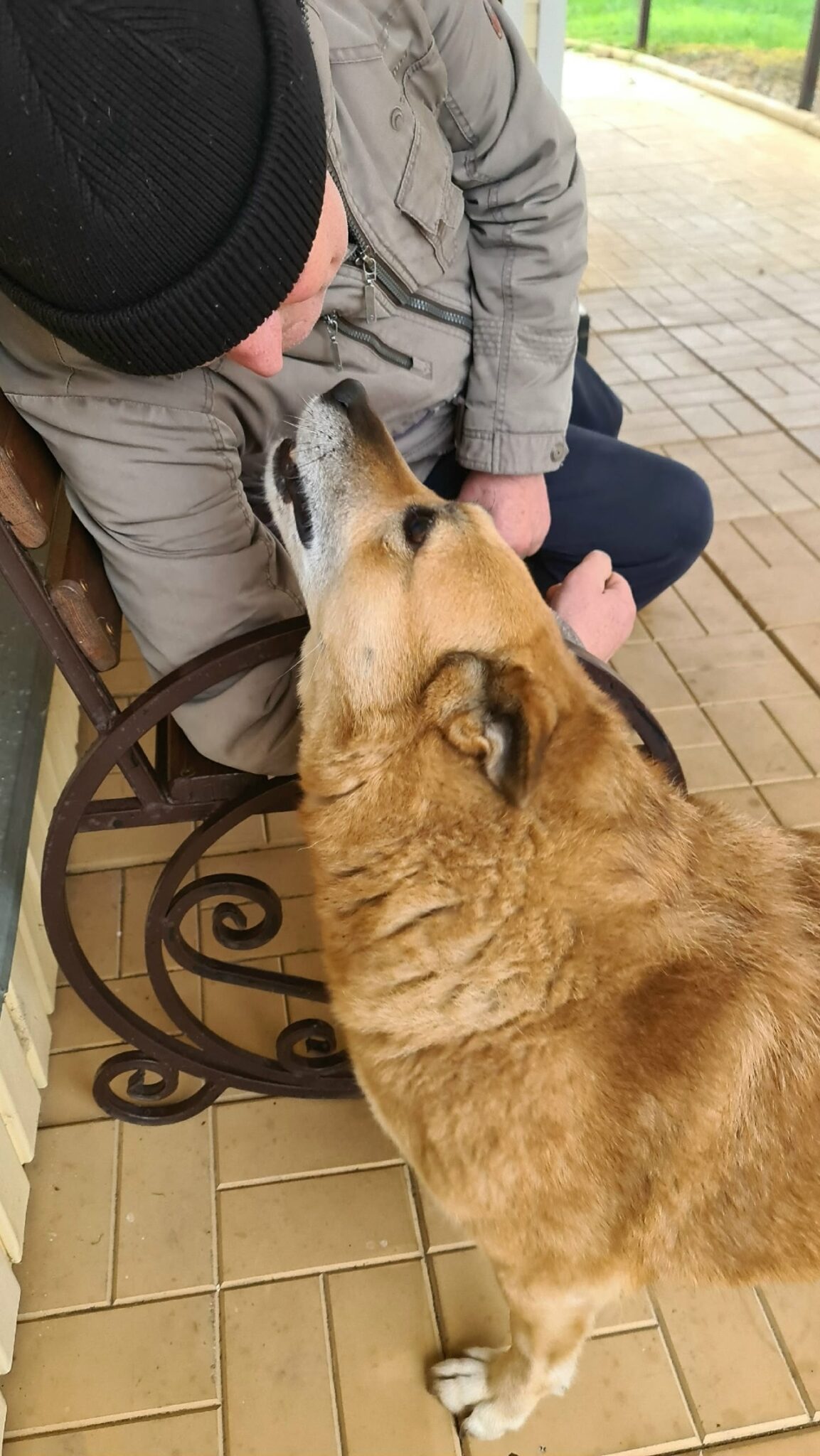 од514