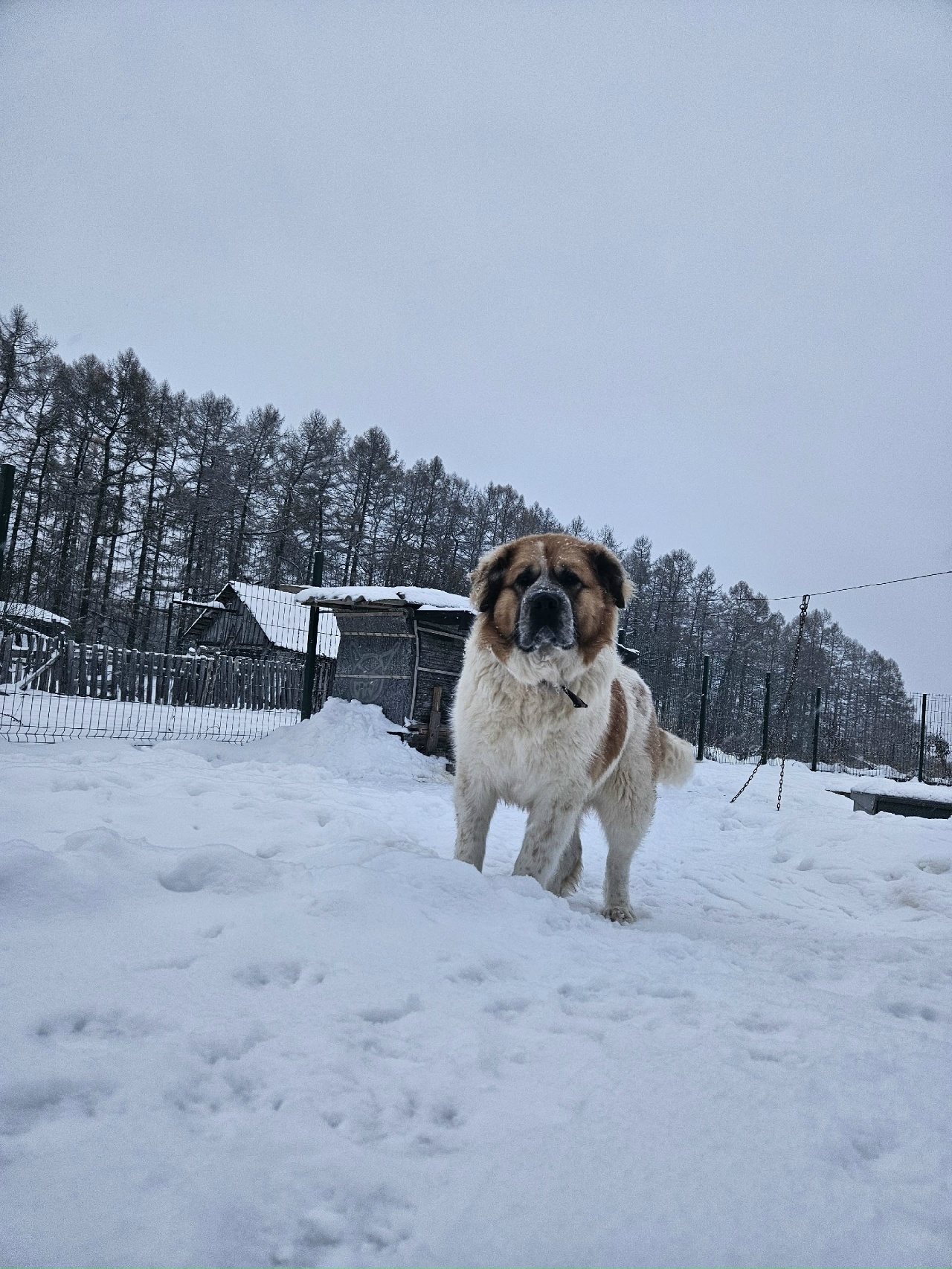 од521